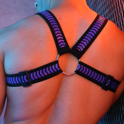Breedwell Harnais DAYCRAWLER Breedwell Noir-Violet